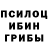 Псилоцибиновые грибы Psilocybe Jan Krsiak