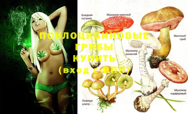 прущая мука Абаза