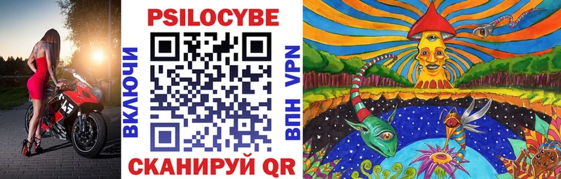 Псилоцибиновые грибы Psilocybe кракен маркетплейс Катав-Ивановск закладка